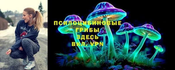 шишки Бронницы